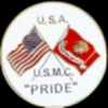 USMC MARINE CORPS PRIDE USA MARINE FLAG ROUND PIN