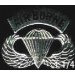 US ARMY AIRBORNE JUMP WING PIN