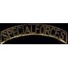 US ARMY SPECIAL FORCES SCRIPT TAB PIN
