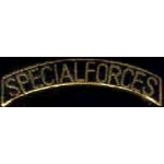 US ARMY SPECIAL FORCES SCRIPT TAB PIN