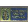 US ARMY SPECIAL FORCES VIETNAM BAR PIN