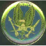 USN NAVY NAVAL WEAPONS CENTER CHINA LAKE PIN