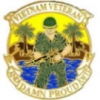 VIETNAM VETERAN PIN AND DAMN PROUD OF IT PIN