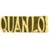 VIETNAM QUAN LOI SCRIPT PIN
