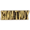 VIETNAM BINH THUY SCRIPT PIN