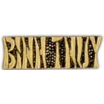 VIETNAM PIN BINH THUY SCRIPT PIN