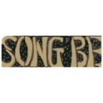 VIETNAM SONG BE SCRIPT PIN