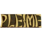 VIETNAM PLEIME SCRIPT PIN