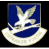 US AIR FORCE USAF SECURITY DEFENSOR FORTIS PIN