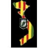 POW MIA VIETNAM COUNTRY SHAPE PIN