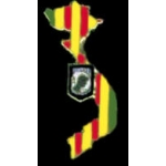 POW MIA VIETNAM COUNTRY SHAPE PIN