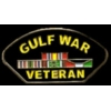 GULF WAR VETERAN WITH SERVICE BARS PIN