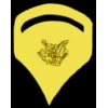 US ARMY SPECIALIST SPEC 5 RANK GOLD PIN