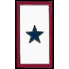 BLUE STAR SERVICE FAMILY MEMBER IN THE MLITARY PIN