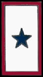 BLUE STAR SERVICE FAMILY MEMBER IN THE MLITARY PIN