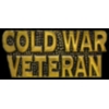 COLD WAR VETERAN PIN