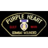 GULF WAR PURPLE HEART COMBAT WOUNDED PIN
