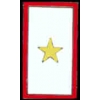 GOLD STAR SERVICE FAMILY MEMBER IN THE MILITARY PIN