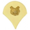 US ARMY SPECIALIST SPEC 4 PINS RANK CHEVRON GOLD PIN