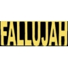 FALLUJAH IRAQ SCRIPT PIN