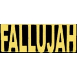 FALLUJAH IRAQ SCRIPT PIN