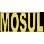 MOSUL IRAQ SCRIPT PIN