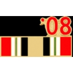 OPERATION IRAQI FREEDOM VETERAN 2008 SERVICE PIN