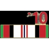 OPERATION ENDURING FREEDOM AFGHANISTAN VETERAN 2010 PIN