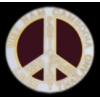 VIETNAM WAR GAMES PARTIPANT PIN
