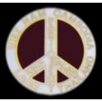 VIETNAM WAR GAMES PARTIPANT PIN