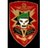 VIETNAM SOG SPECIAL OPERATIONS GROUP PIN