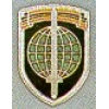 FREEEWORLD FORCES PIN