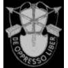 US ARMY SPECIAL FORCES DE OPPRESSO LIBER CREST PIN