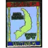 VIETNAM SERVED AND PROUD OF IT PIN