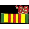 VIETNAM VETERAN SERVICE RIBBON 1969 PIN
