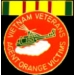 VIETNAM VETERAN PIN VICTIM AGENT ORANGE PIN