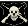 SNIPERS BADGE PIN WITH SKULL