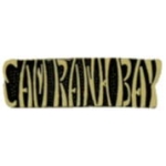 VIETNAM CAM RAHN BAY SCRIPT PIN