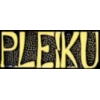 VIETNAM PLEIKU SCRIPT PIN