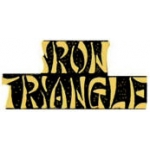 VIETNAM IRON TRIANGLE SCRIPT PIN