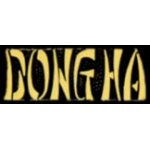 VIETNAM DONG HA SCRIPT PIN