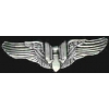 US AIR FORCE GUNNERS MINIWINGS PIN