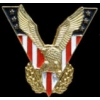 USA UNITED STATES VICTORY EAGLE PIN