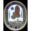 USN NAVY PIN USS IOWA LOGO PIN