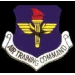 US AIR FORCE PINS AIR TRAINING COMMAND LOGO USAF PIN
