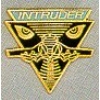 US AIR FORCE INTRUDER LOGO