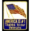 THANKS TO OUR VETERANS PIN USA FLAG PIN