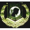 POW MIA LAUREL PIN