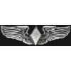 WOMENS WASP PILOT MINIWING PIN