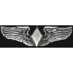 WOMENS WASP PILOT MINIWING PIN